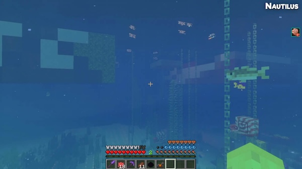 Minecraft 1.21.130 5