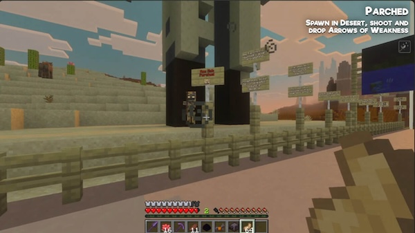 Minecraft 1.21.130 2